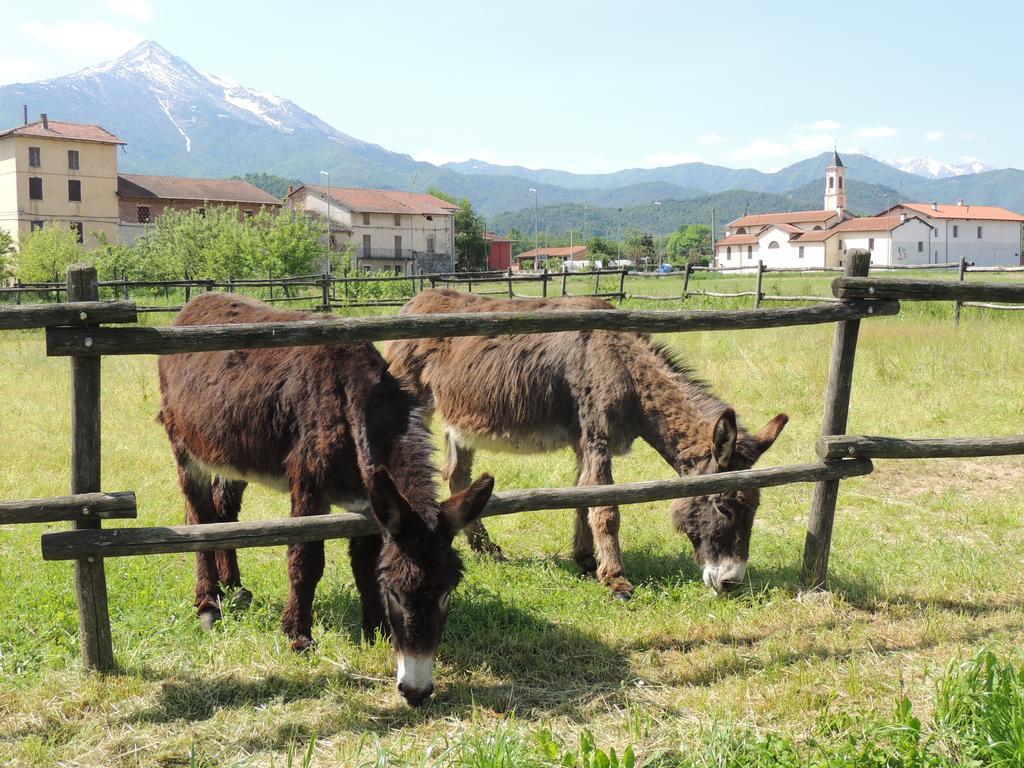 Vakantieboerderij Cascina La Commenda *
