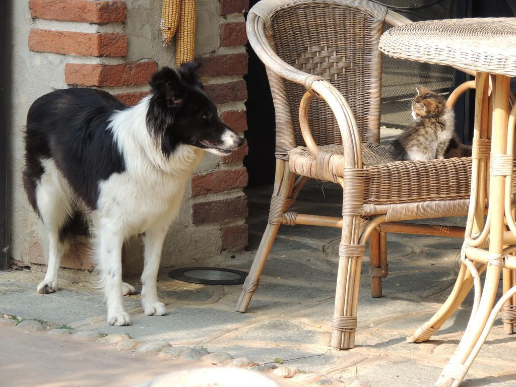 Vakantieboerderij Cascina La Commenda